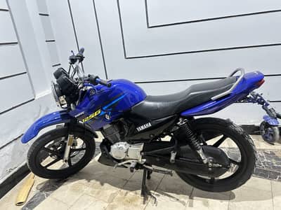 Yamaha YBR 125g
