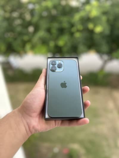 Apple iPhone 13 Pro Max10/10.