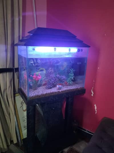 aquarium