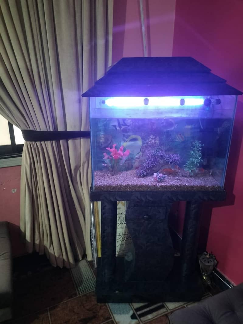 aquarium 1