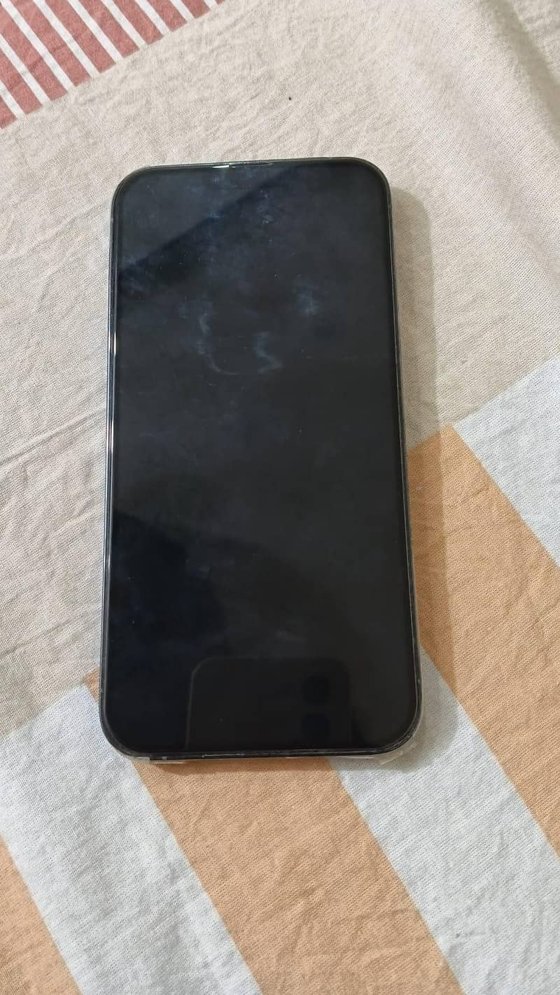Apple iPhone 13 Pro Max 1