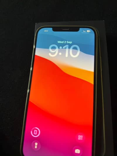 Apple iPhone 12 Pro Max