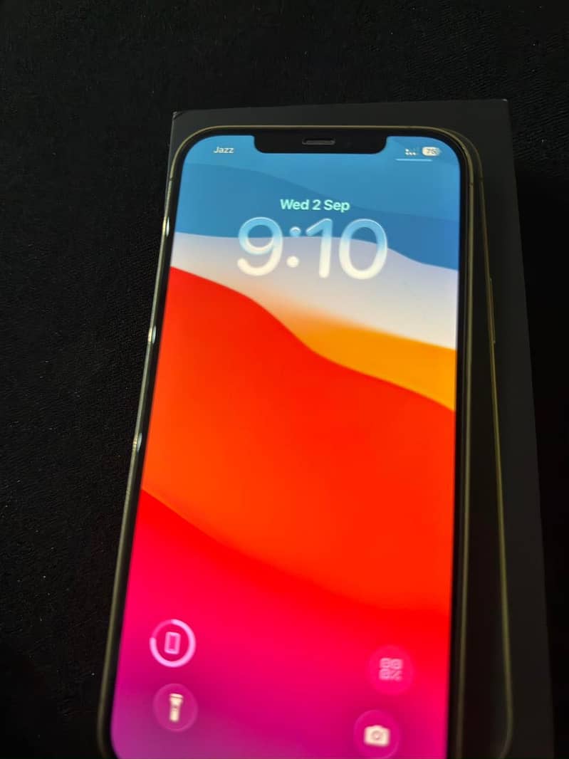 Apple iPhone 12 Pro Max 0