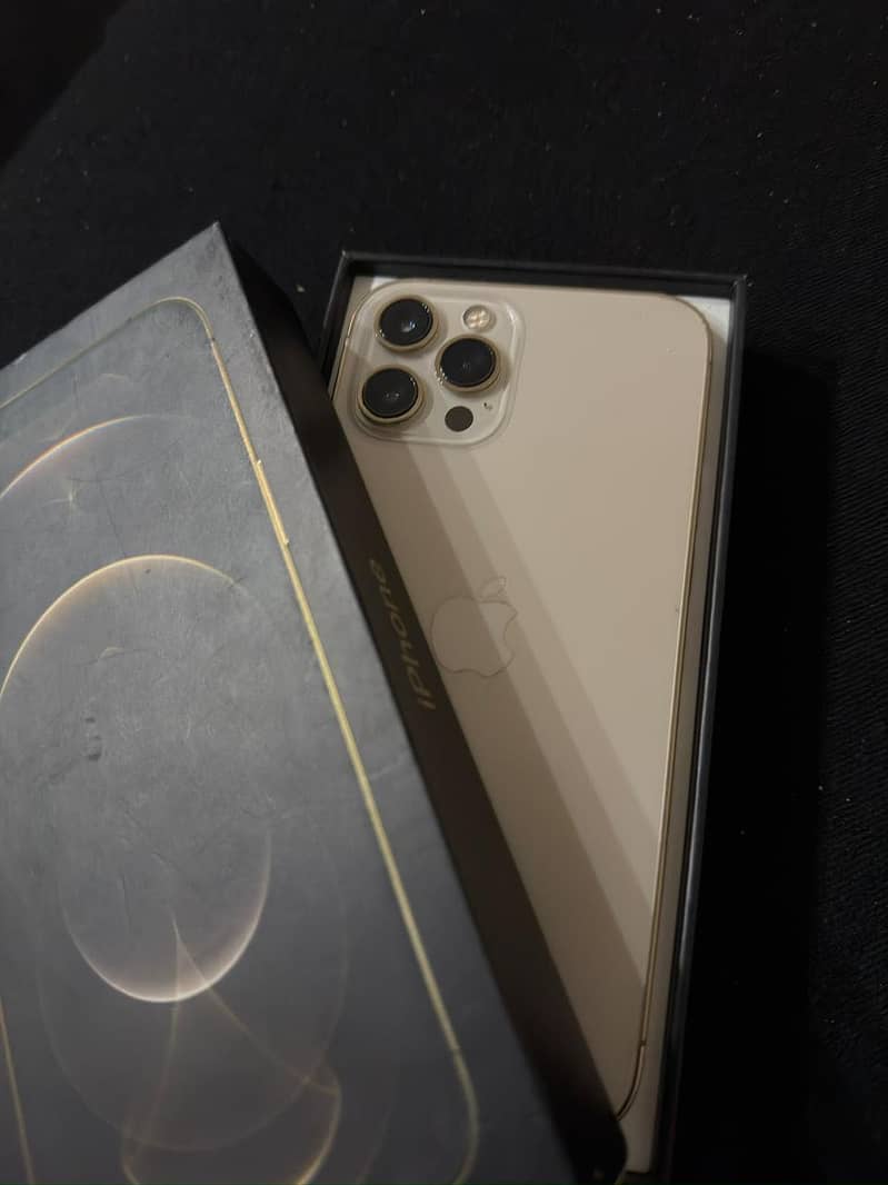 Apple iPhone 12 Pro Max 1