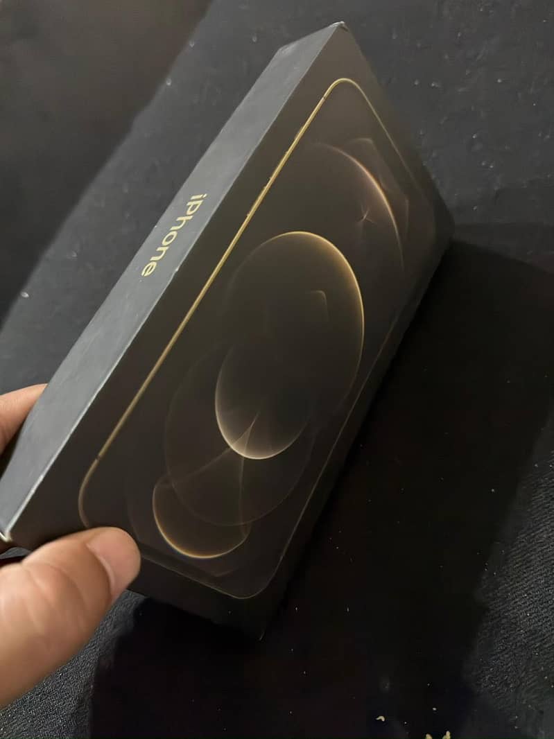 Apple iPhone 12 Pro Max 2