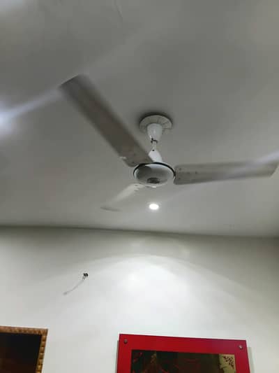 4 pak fans for sale