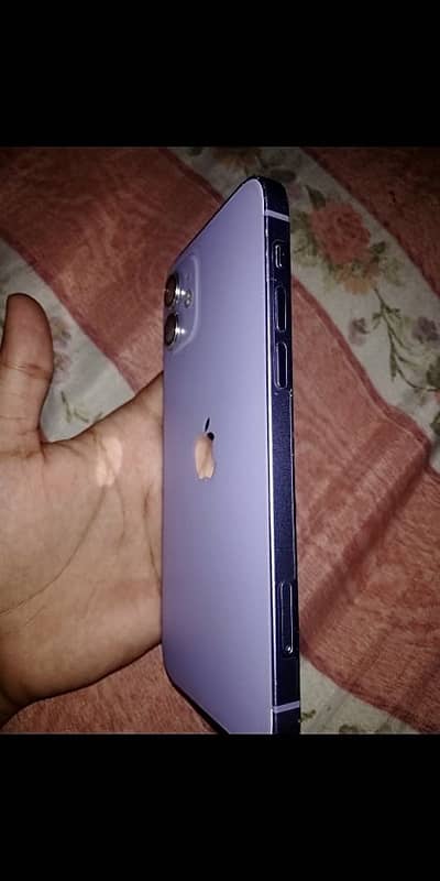 Apple iPhone 12
