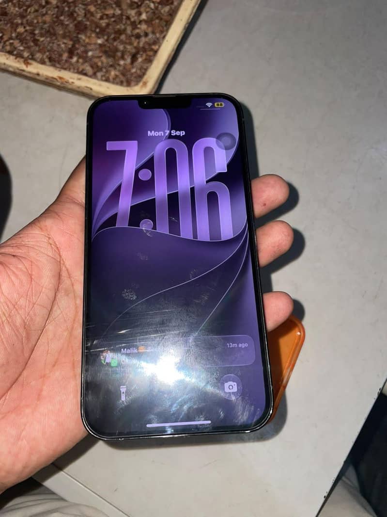 Apple iPhone 13 Pro Max 1