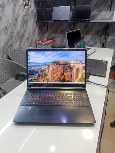 Acer Nitro 5 Ryzen 7 5800H RTX 3070 16GB QHD 17" 165Hz Gaming laptop