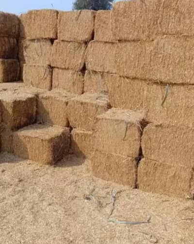 BHOOSA FOR SALE . 1000/40 KGS-1 mun