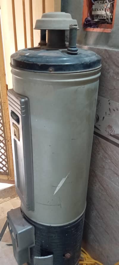 geyser for sale