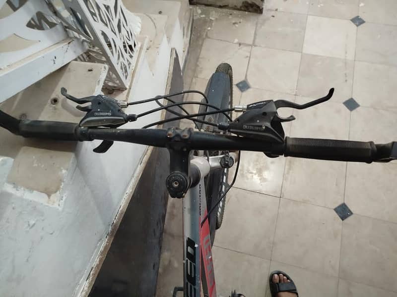 Imported Bicycle 1