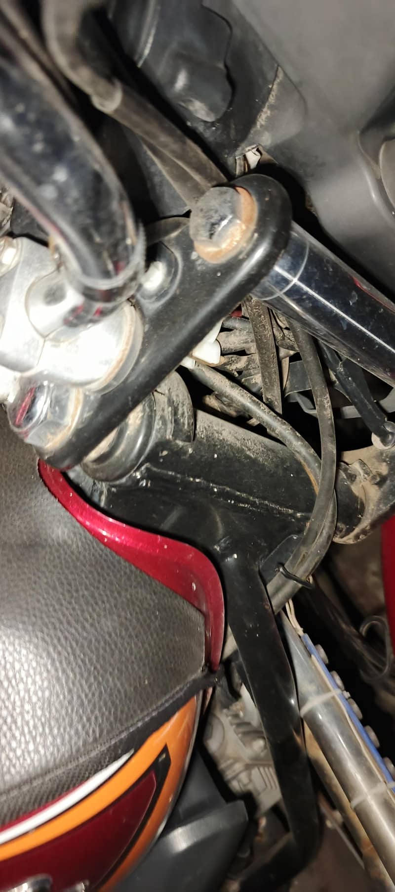 100 cc 3