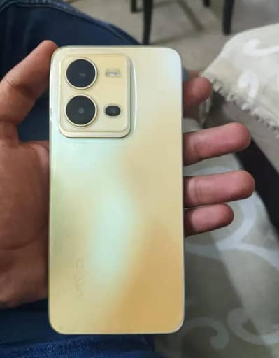 Vivo V25e
