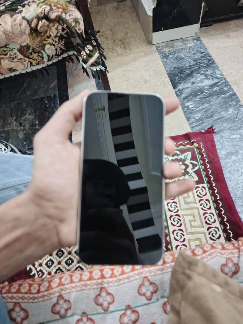 Apple iPhone 13 Pro Max 1