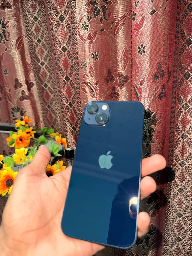 Apple iPhone 13 0