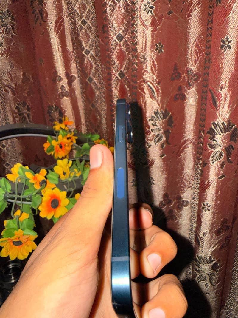 Apple iPhone 13 1