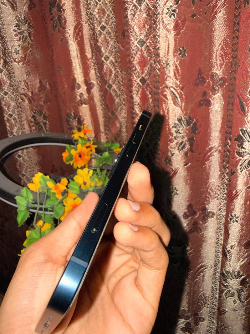 Apple iPhone 13 2
