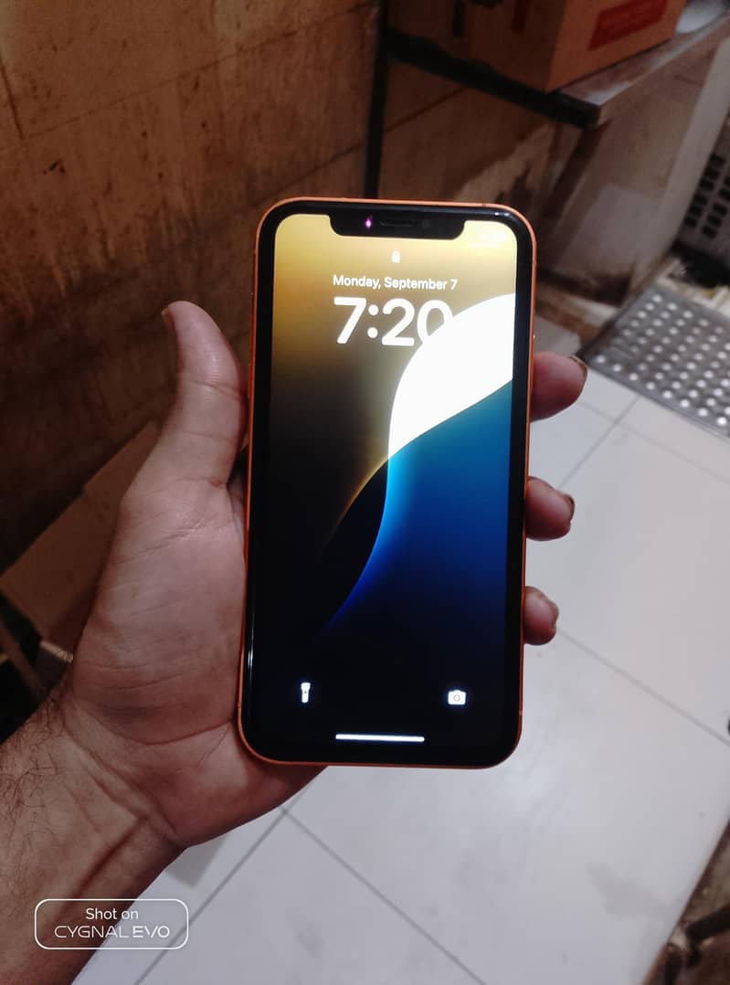 Apple iPhone XR 1
