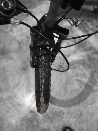 mountain bike for rent