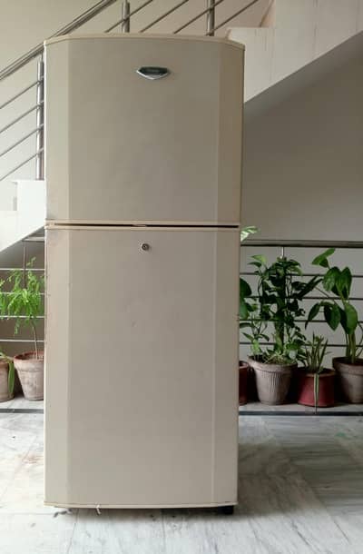 Hair Refrigerator For Sale