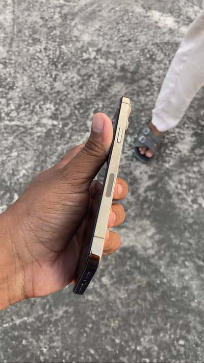 Apple iPhone 12 Pro Max 256 gb 89health