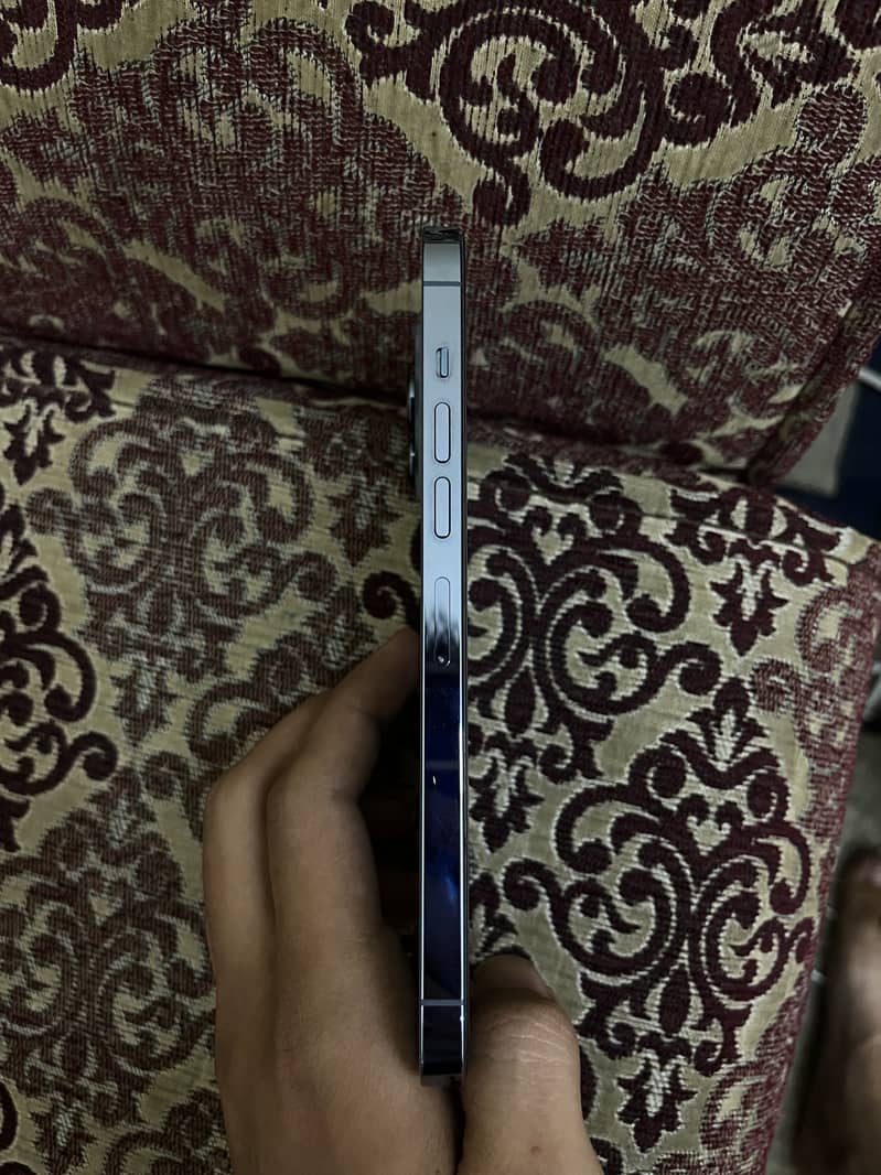 Apple iPhone 13 Pro Max 1
