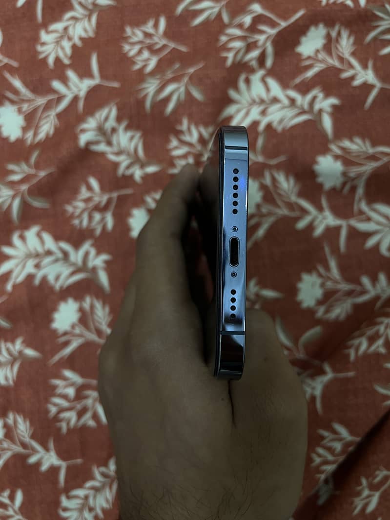 Apple iPhone 13 Pro Max 3