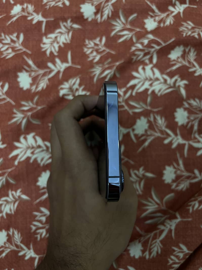 Apple iPhone 13 Pro Max 6