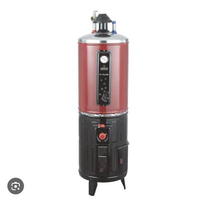 Geyser for sale