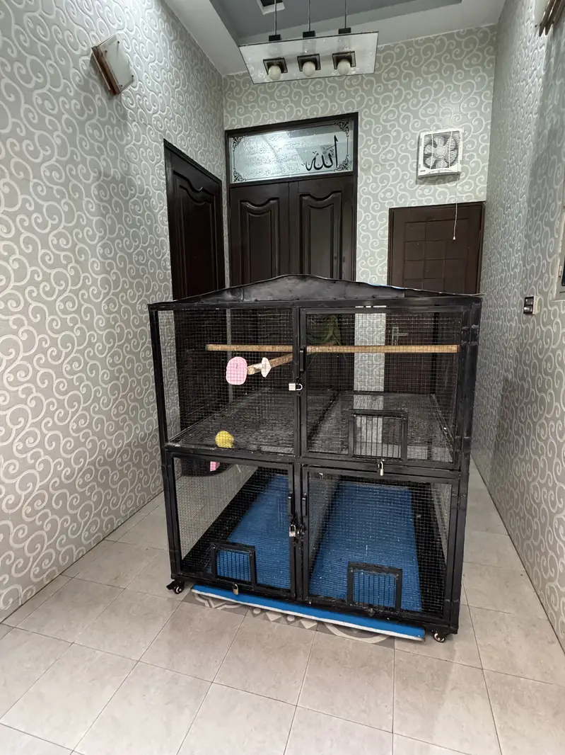 Cage|Iron Cage|Hens Cage|Birds Cage|Pinjra|پنجرا|Cages in Lahore|Pak