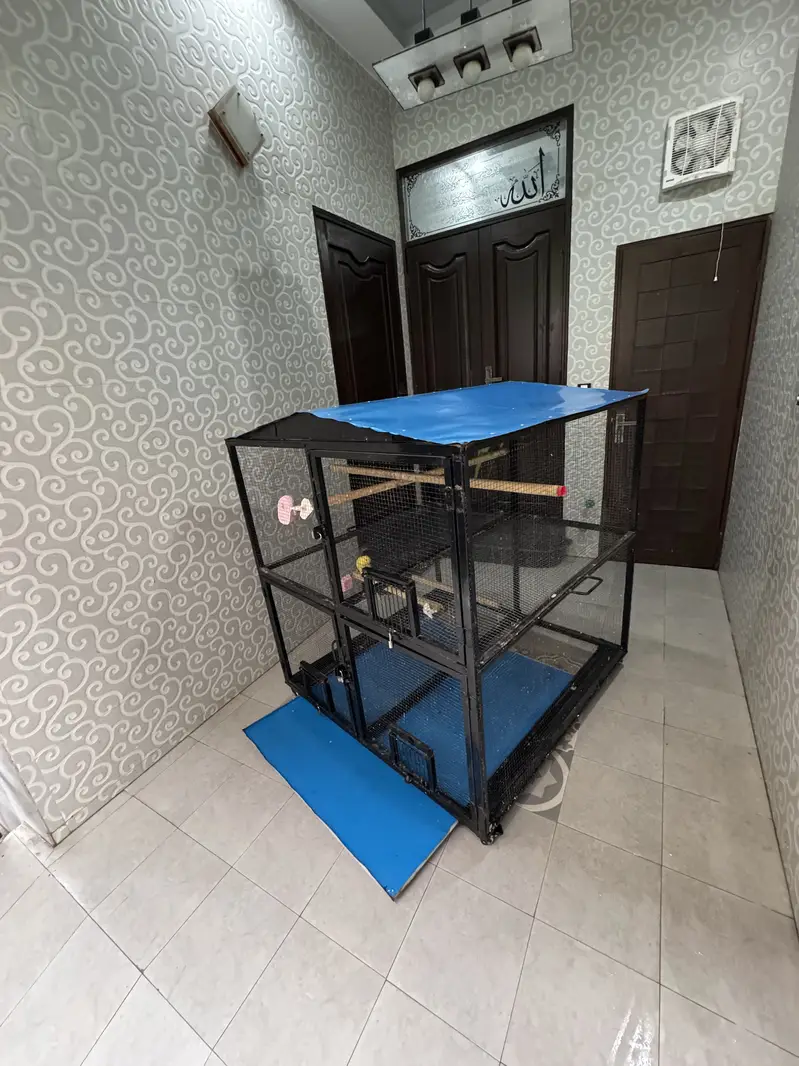 Cage|Iron Cage|Hens Cage|Birds Cage|Pinjra|پنجرا|Cages in Lahore|Pak — photo 2