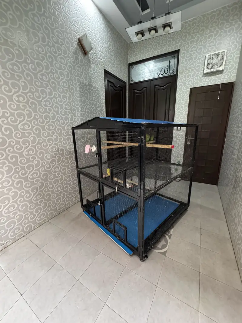 Cage|Iron Cage|Hens Cage|Birds Cage|Pinjra|پنجرا|Cages in Lahore|Pak — photo 3