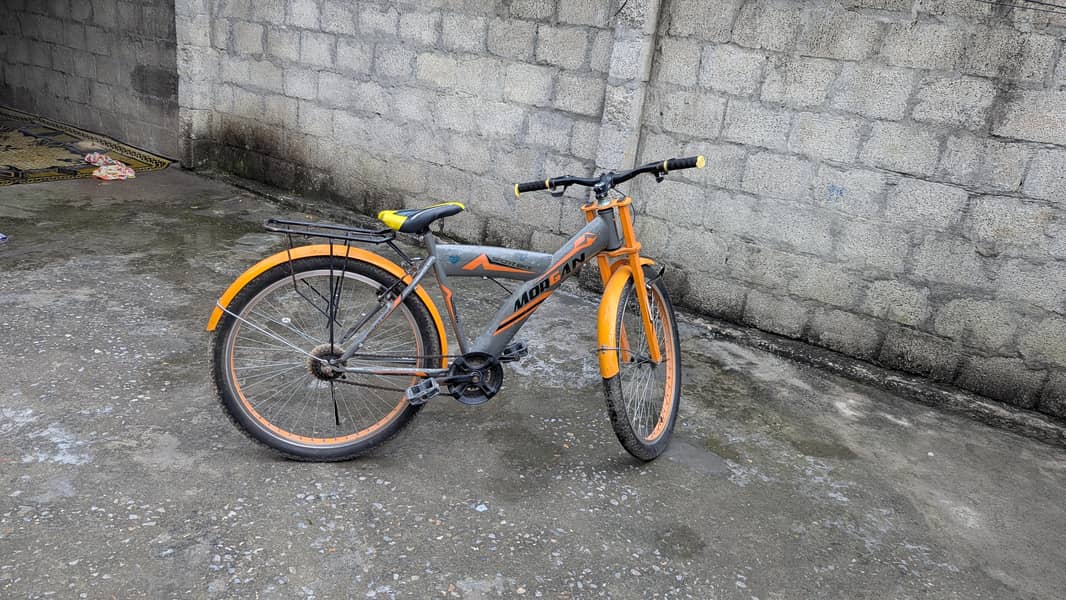 Morgan Cycle 1