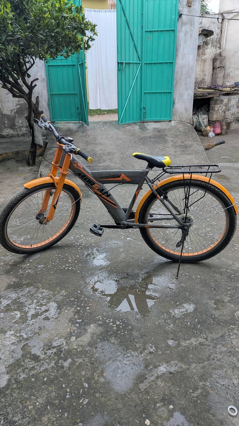 Morgan Cycle 2