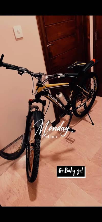 Road Bicycle – Excellent, Like-New Condition