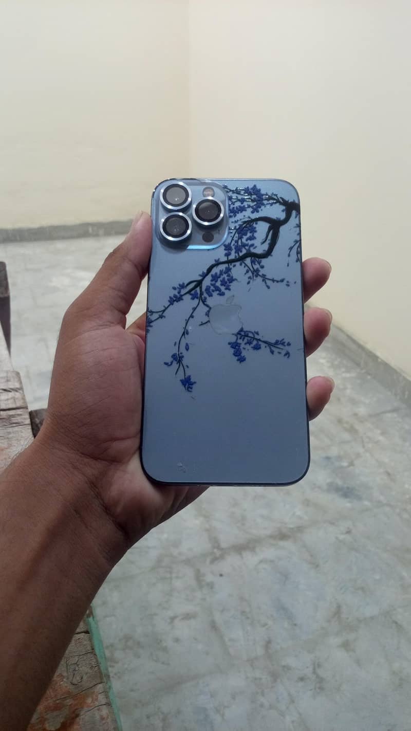 Apple iPhone 13 Pro Max 0