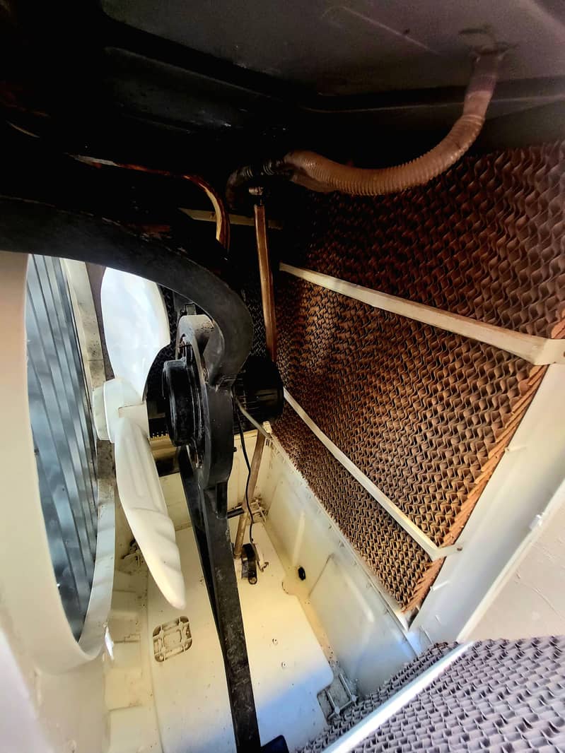 i Zone High Performance Cooler 1