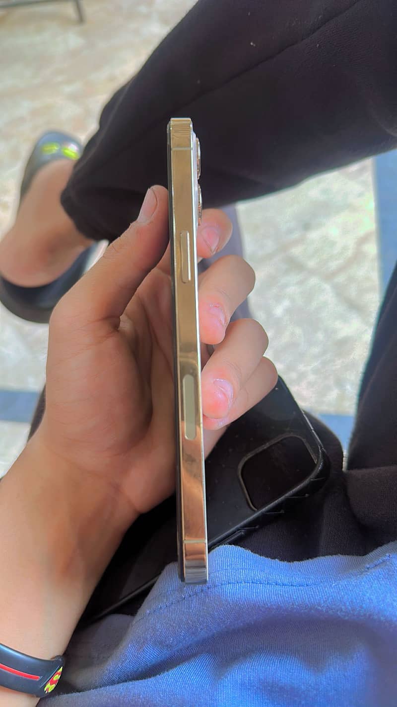 Apple iPhone 12 Pro Max 1