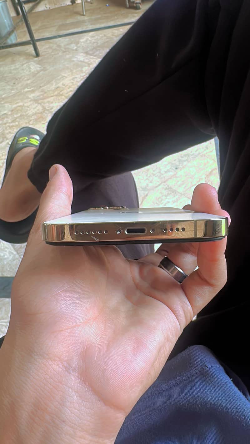 Apple iPhone 12 Pro Max 2