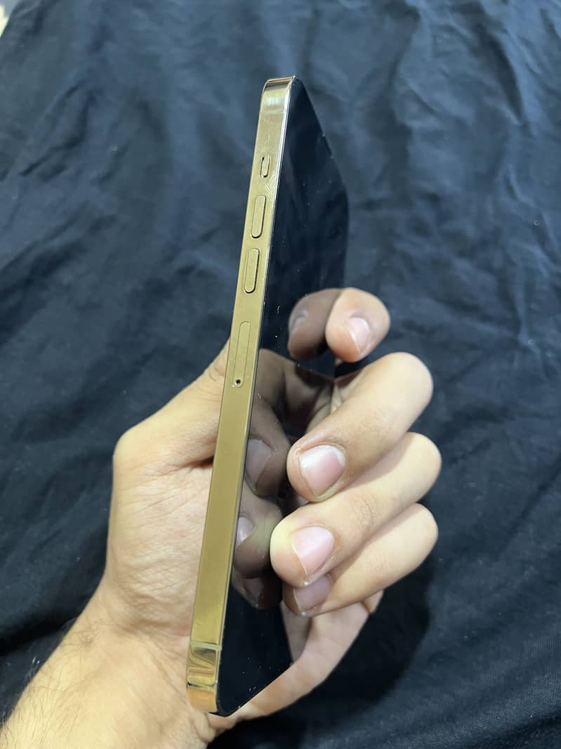 Apple iPhone 13 Pro Max 4