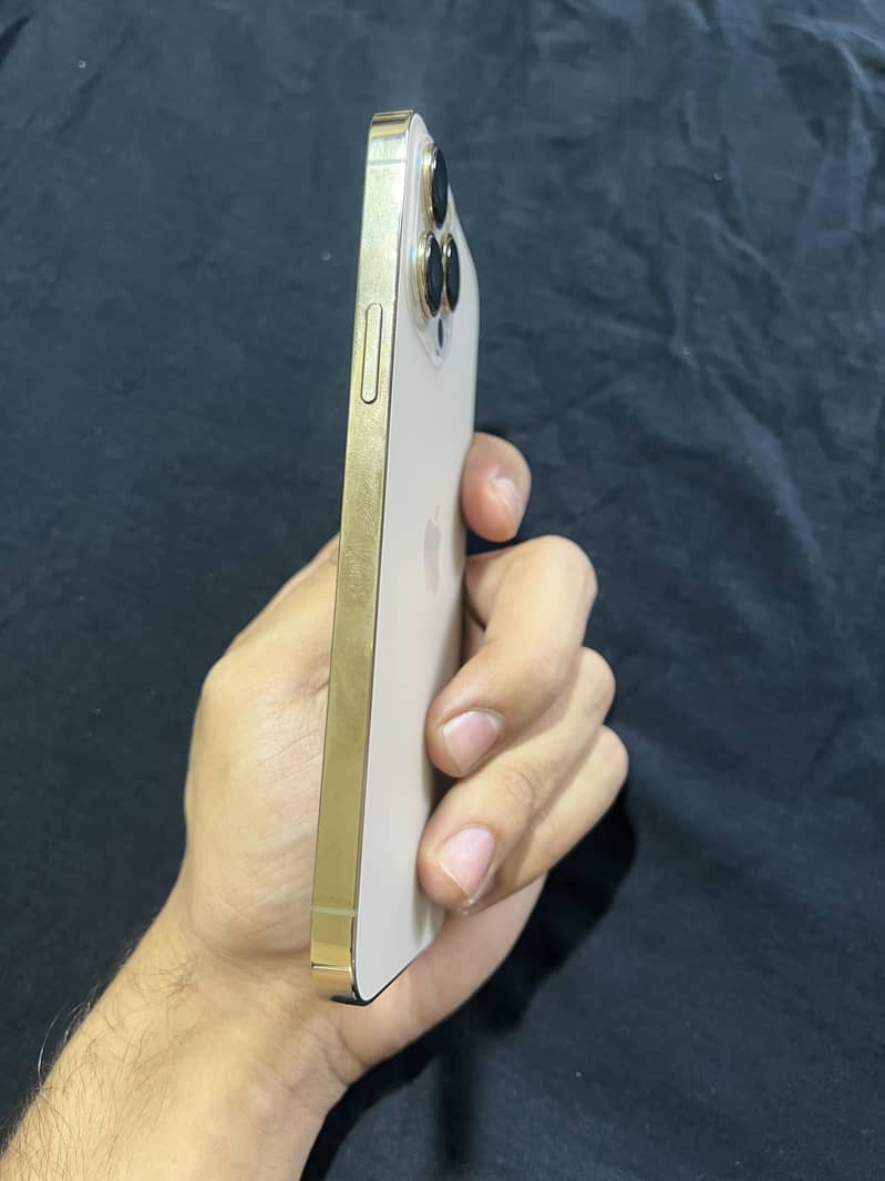 Apple iPhone 13 Pro Max 5