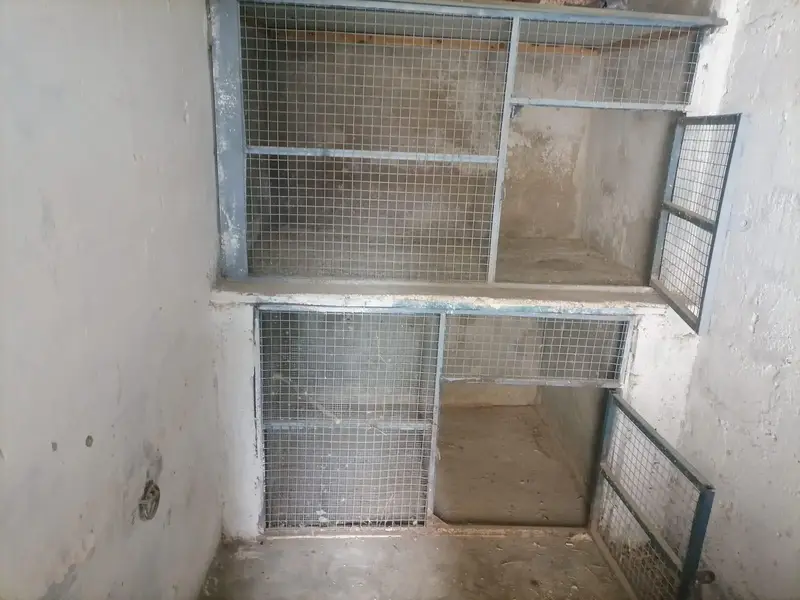 frames — photo 3