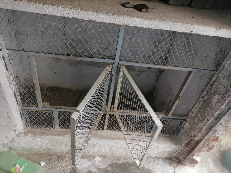 frames — photo 5