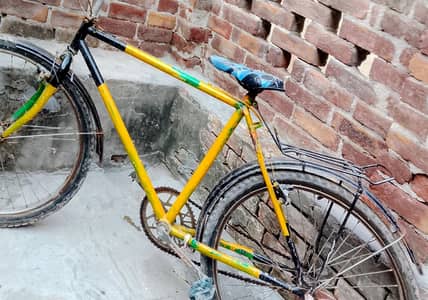 phoniex bicycle