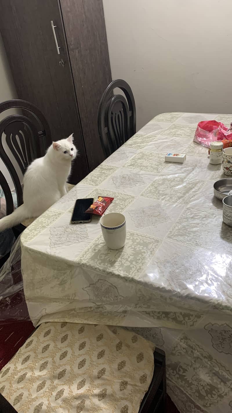 8 seater dining table 3