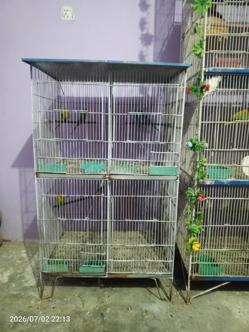 Cages 1