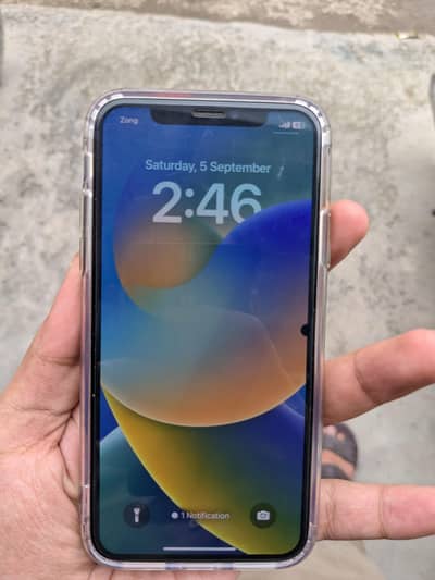 Apple iPhone X