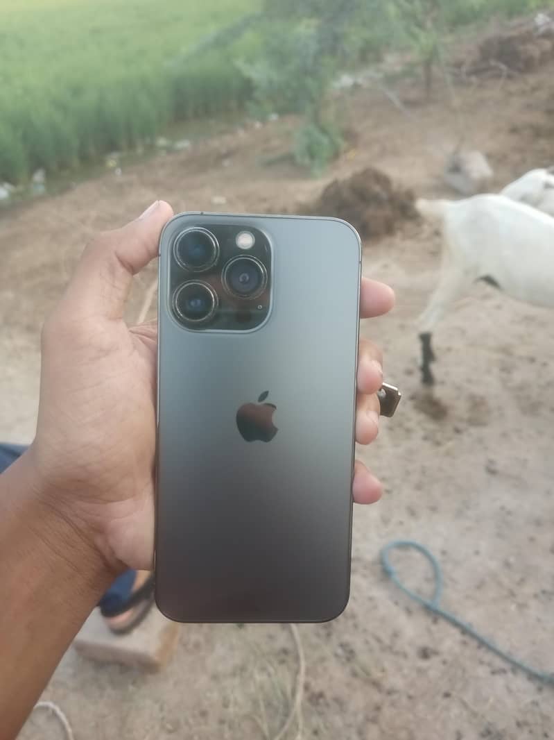 Apple iPhone 13 Pro 3