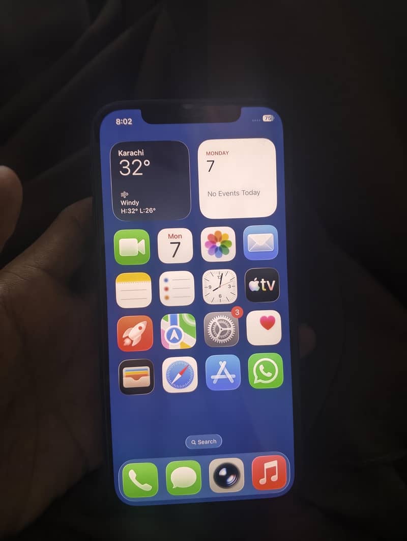 Apple iPhone 12 1